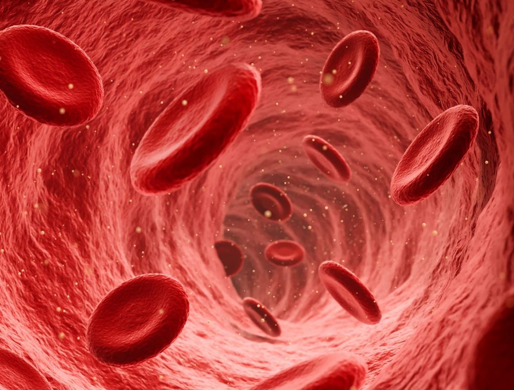 Blood Cells Visual